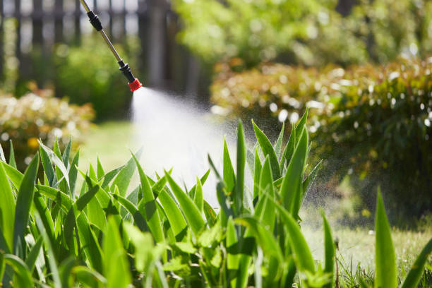 24/7 Emergency Mosquito Control experts in Mission, SD